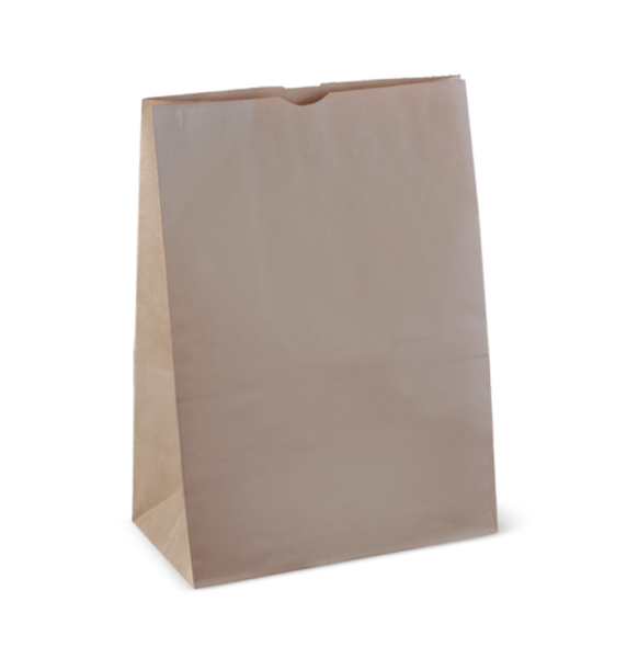 No.18 Paper Brown Bag